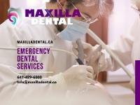 Maxilla Dental image 4